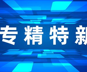 澳门威尼克斯人网站荣获江苏省专精特新小巨人企业称号